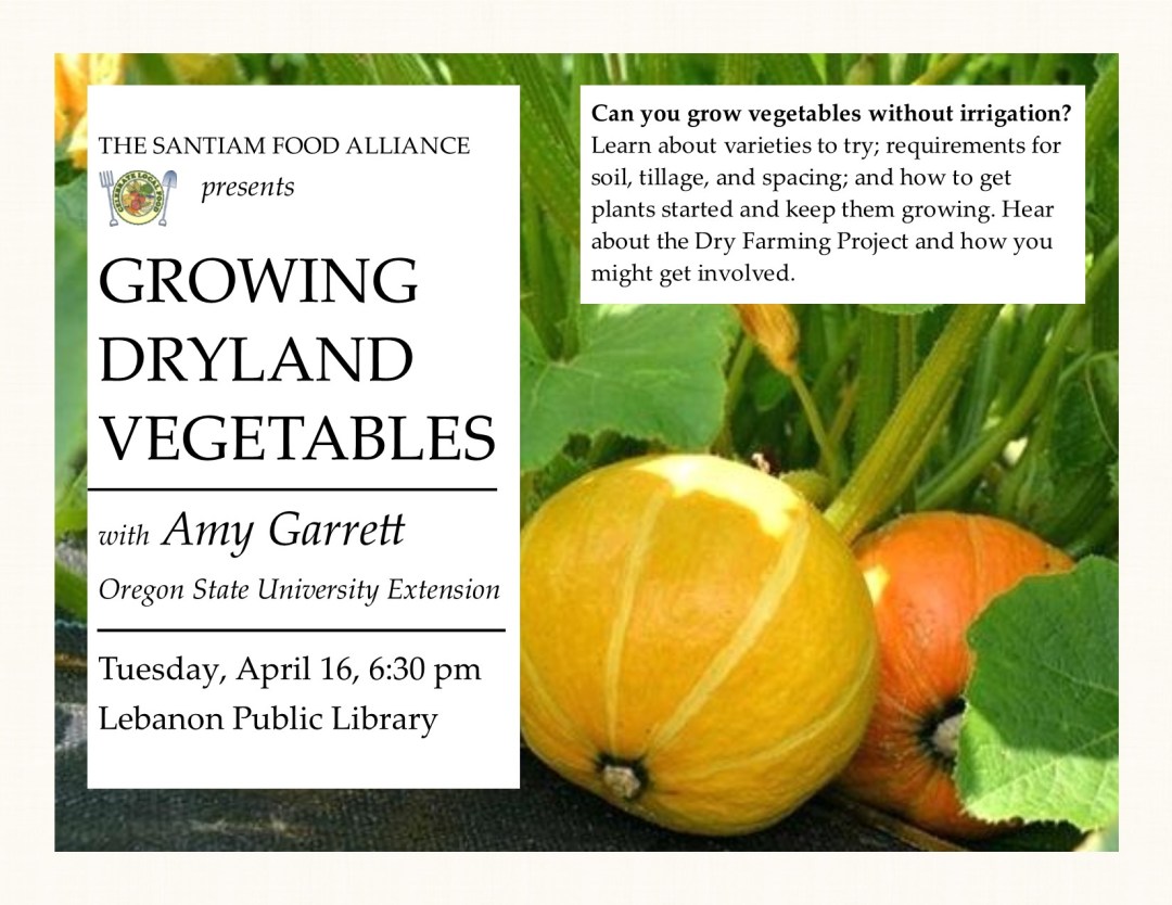 Dryland gardening flyer